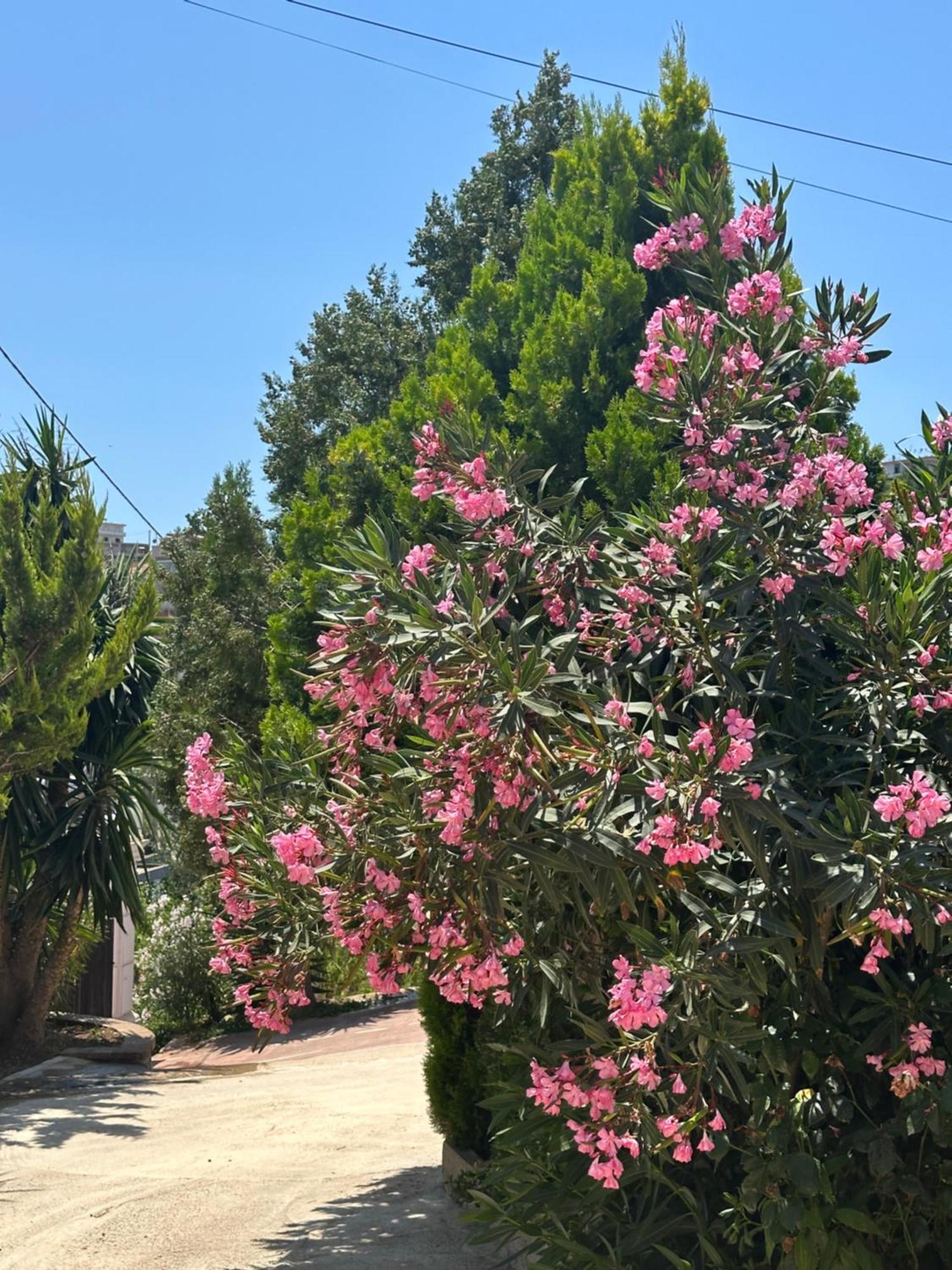 Panoramic Views Of Saranda Apartment ภายนอก รูปภาพ